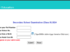 CBSE Board 10th and 12th Results 2024